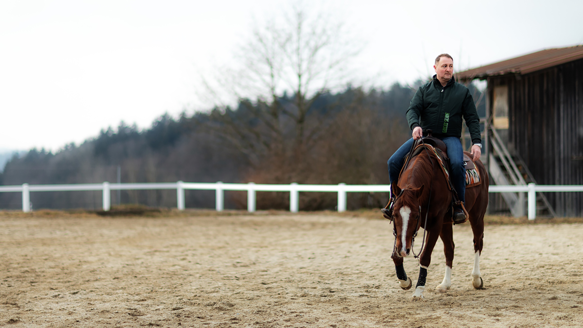 stark, Nerven, Sensibilität, hohe, Tempo, gelassen, hinnehmen, heftig, Körperbau, Temperament, grundsätzlich, Pferderasse, Reiningsport, Westernpferderasse, American Quarter Horses, Paint, Ausrüstung, Showarena, langärmlig, Hemd, Kragen, Jeans, Stiefel, Westernhut, Chaps, Sporen, gepflegt, Bild, Kleidung, Satteldecke, idealerweise, farblich, abgestimmt, Reiningsattel, Dressursattel, richtig, Sitz, 3-jährig, 4-jährig, Prüfung, beidhändig, Trense, Snaffle Bit, gebisslos, Hackamore, Bosal, einhändig, Kandare, Bit, Älter, Bestandteil, Beschlag, speziell, Sliding Plates, besonderes, Eisen, Hinterhuf, meterlang, Gleiten, Hinterhand, Freizeit, Zucht, Sport, Futurity, AQHA, DQHA, Horsemanship, Camp, Freizeitreiter, Turnierreiter, Jugendlich, Erwachsen, hinterfragen, weiterbilden, harmonisch, Beziehung, Partnerpferd, Fair, respektvoll, Umgang, resultiert, ursprünglich, US-amerikanisch, Ranch-Reitweise, Bodenarbeit, Haltung, Pflege, Horseman, hervorragend, praktisch, theoretisch, Kenntniss, Faszination, exklusiv, Wissen, professionell